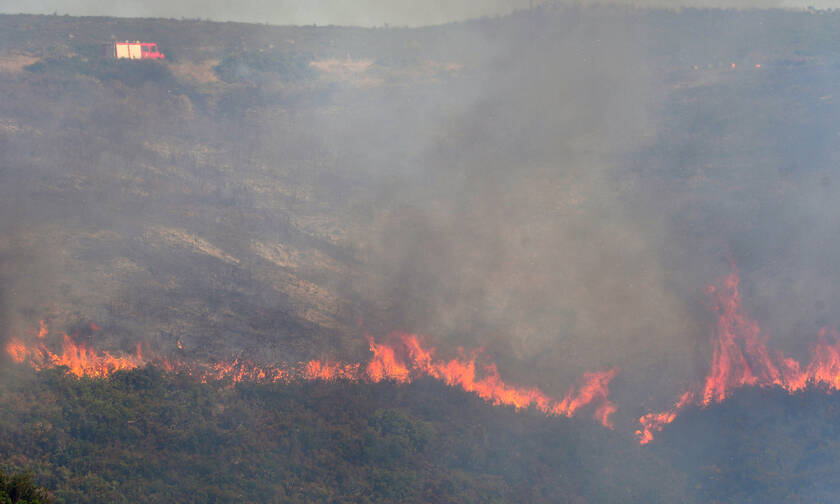 Φωτιά ΤΩΡΑ στην Εύβοια: «Πνίγονται» Φθιώτιδα και Μαγνησία - Οι καπνοί φαίνονται και από το διάστημα