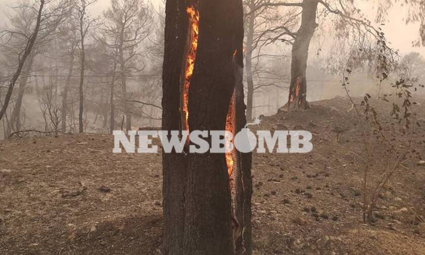 Φωτιά Εύβοια: Εκκενώθηκαν 4 οικισμοί - Καίγεται το χωριό Μακρυμάλλη - Προς τα Ψαχνά οι φλόγες 