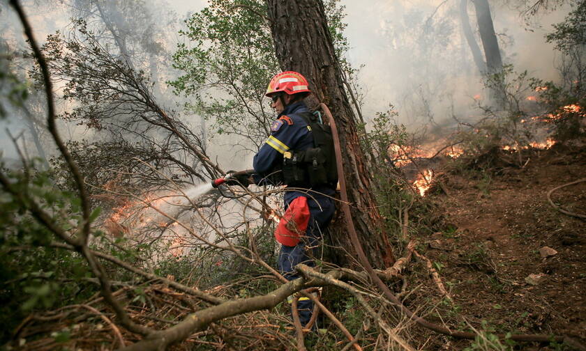 Φωτιά Βοιωτία: Υπό μερικό έλεγχο η πυρκαγιά στον Πρόδρομο Θήβας (ΧΑΡΤΗΣ)