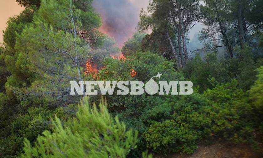 Φωτιά Εύβοια: Στο χωριό Σταυρός κατευθύνονται οι φλόγες - Μάχη με τις αναζωπυρώσεις 