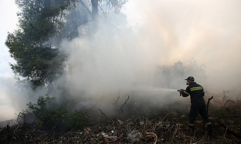 Φωτιά ΤΩΡΑ: Καίγεται περιοχή Natura και στην Κέρκυρα 