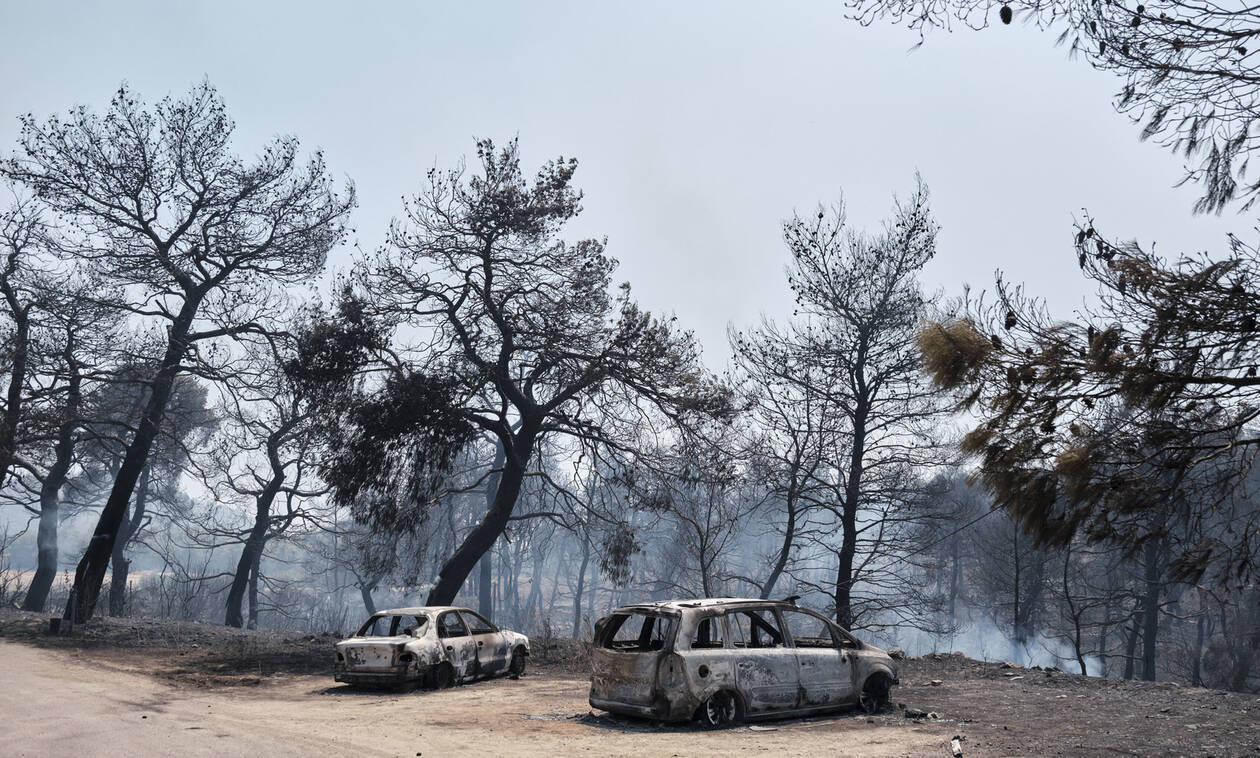 Φωτιά στην Εύβοια: Το κινητό «καίει» τον 33χρονο – Συνεχίζονται οι ανακρίσεις από την Πυροσβεστική