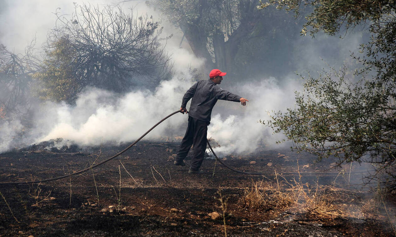 Φωτιά ΤΩΡΑ: Πυρκαγιά σε εξέλιξη στη Βάρδα Ηλείας