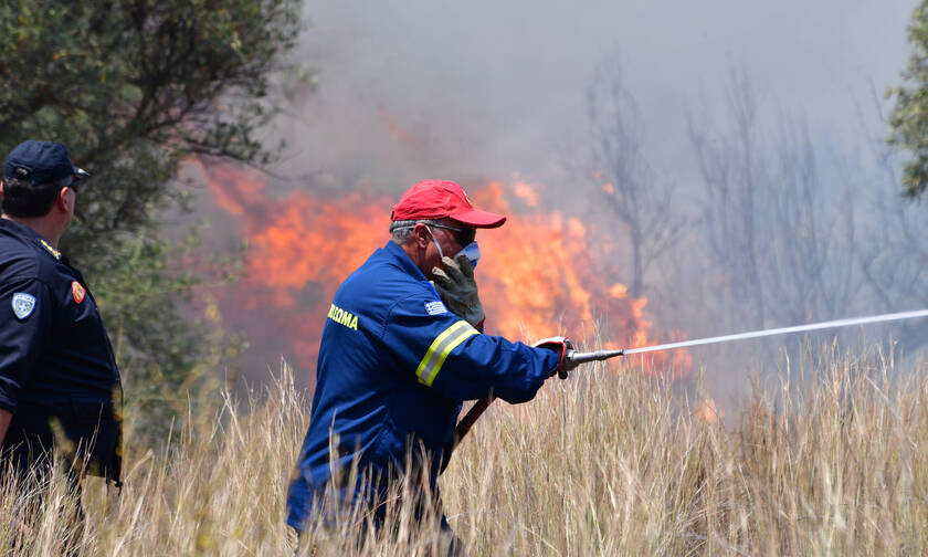 Φωτιά ΤΩΡΑ: Μεγάλη πυρκαγιά στον Ασπρόπυργο - Τεράστια κινητοποίηση της Πυροσβεστικής 