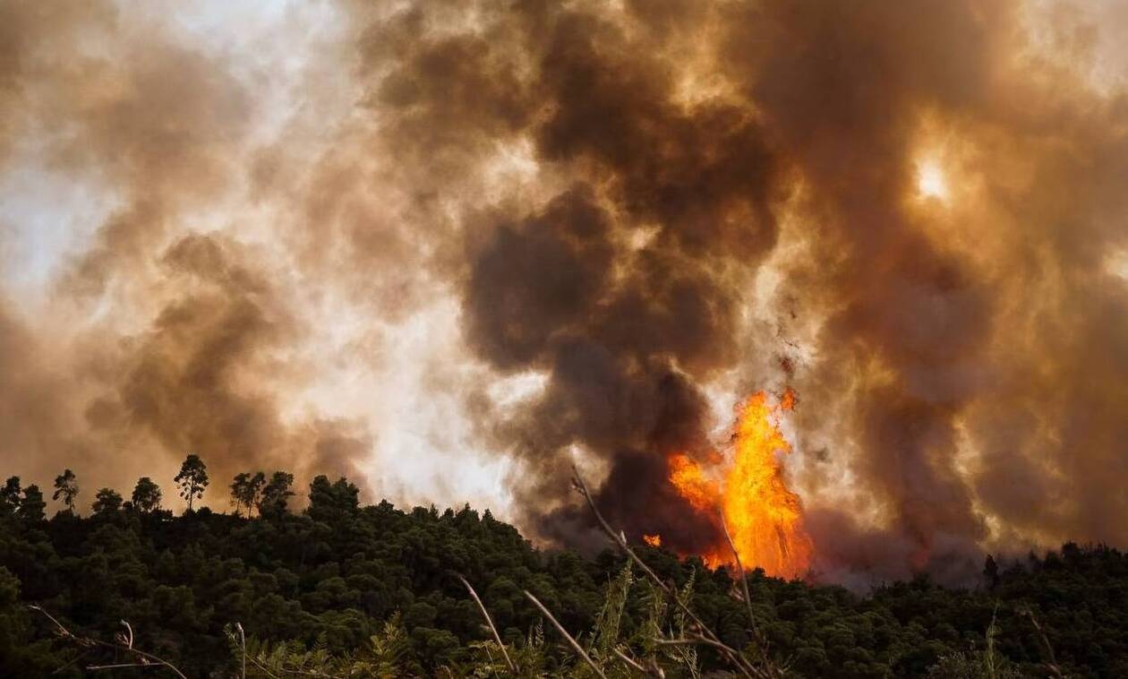 Πυρκαγιές στην Πελοπόννησο: Αυτοί είναι οι εμπρηστές που συνελήφθησαν – Οδηγούνται στον εισαγγελέα