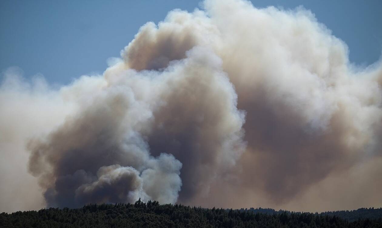 Φωτιά ΤΩΡΑ: Σε δύσβατο σημείο η πυρκαγιά στα Καλάβρυτα – Μάχη με τις φλόγες (pics)