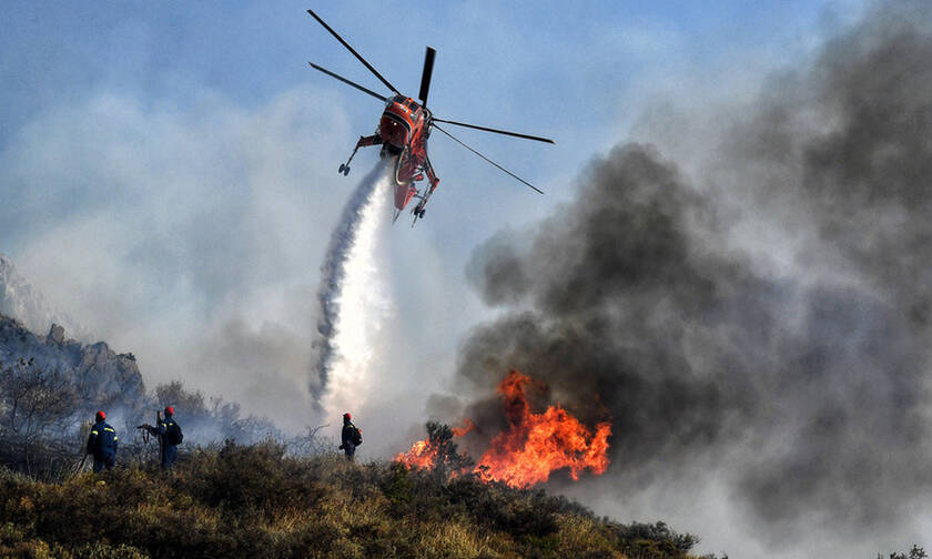 Φωτιά ΤΩΡΑ στον Μαραθώνα - Μάχη με τους ισχυρούς ανέμους δίνουν οι πυροσβέστες