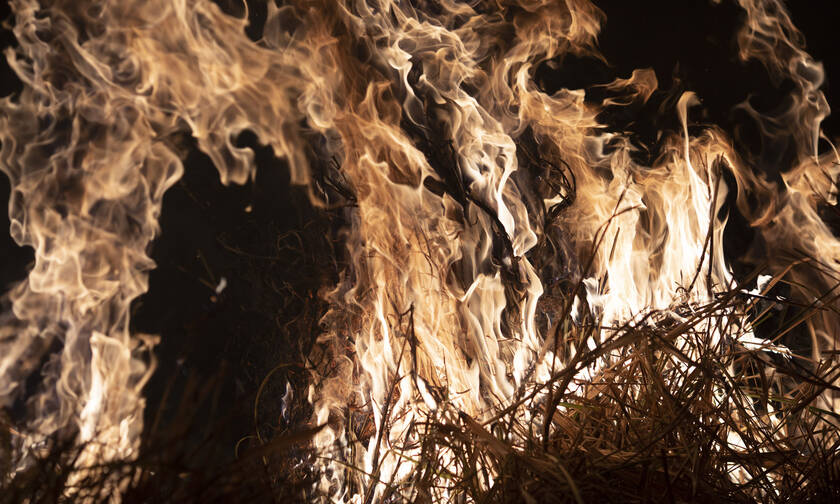 Αμαζόνιος: Οι «πνεύμονες» της Γης «φλέγονται» - 1.113 νέες εστίες φωτιάς σε μία ημέρα (pics&vids)