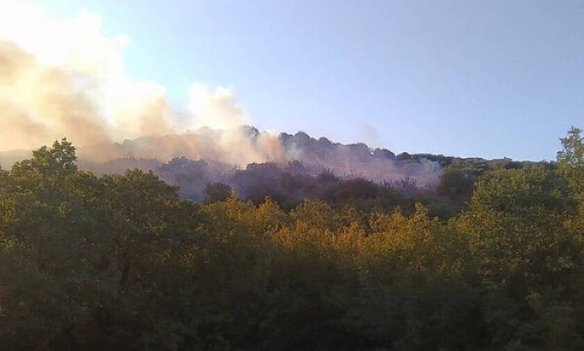Φωτιά ΤΩΡΑ στο Κιλκίς - Ενισχύονται οι δυνάμεις της Πυροσβεστικής
