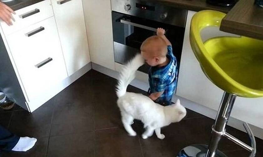 Δείτε τι κάνει η γάτα όταν ο πιτσιρικάς πατάει τα κουμπιά του φούρνου (vid)