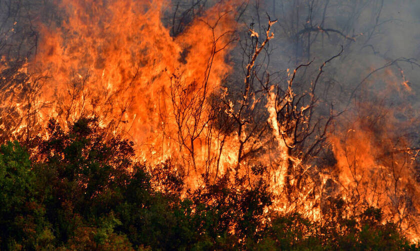 Πυρκαγιά στα όρια Φιλοθέης – Γαλατσίου