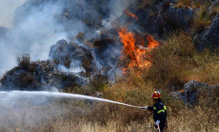 Συναγερμός στην Πυροσβεστική: Πυρκαγιά σε δασική έκταση στην Λαμία