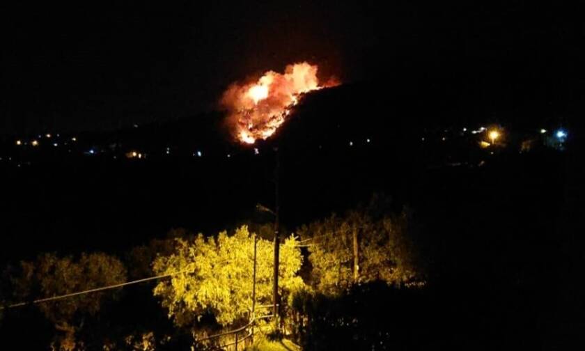 Φωτιά στη Νέα Μάκρη: Ενισχύθηκαν οι πυροσβεστικές δυνάμεις