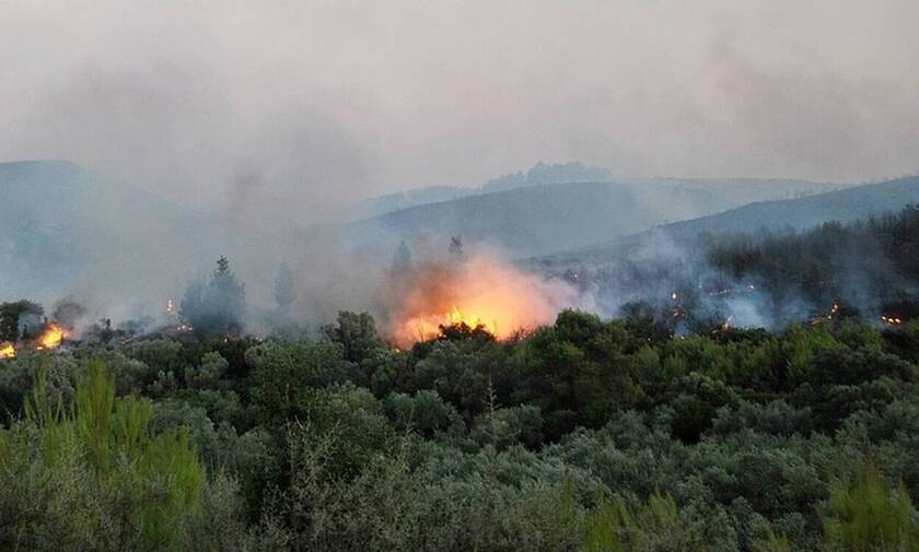 Ζάκυνθος: Σε ύφεση η φωτιά που ξέσπασε σε δασική έκταση στα Λαγκαδάκια