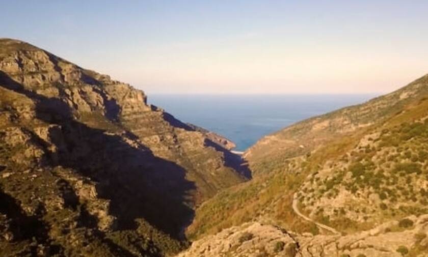 Χαμός στην Εύβοια: Απίστευτος «θησαυρός» σε βουνό - Δείτε τι βρήκαν