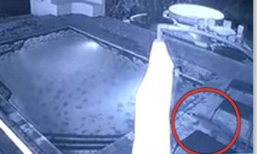 Κροκόδειλος επιτίθεται σε γυναίκα μέσα σε πισίνα - Συγκλονιστικό βίντεο