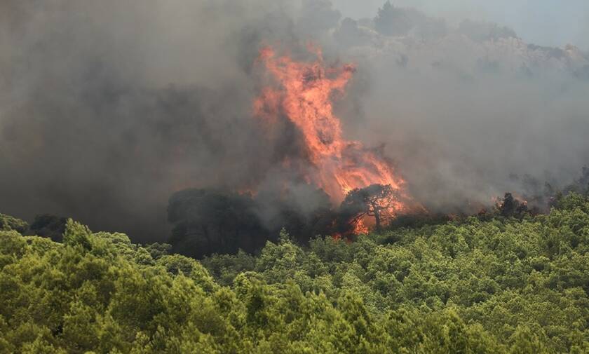 «Κόλαση» φωτιάς στο Λουτράκι: Αποπνικτική ατμόσφαιρα από τους καπνούς - Διεκόπη η κυκλοφορία (pics)