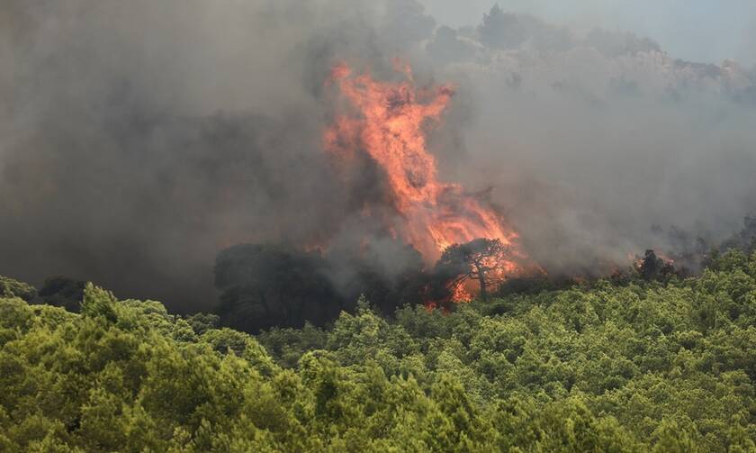 Φωτιά ΤΩΡΑ στη Ζάκυνθο: Ενισχύονται οι δυνάμεις στην πυρκαγιά στις Μαριές 