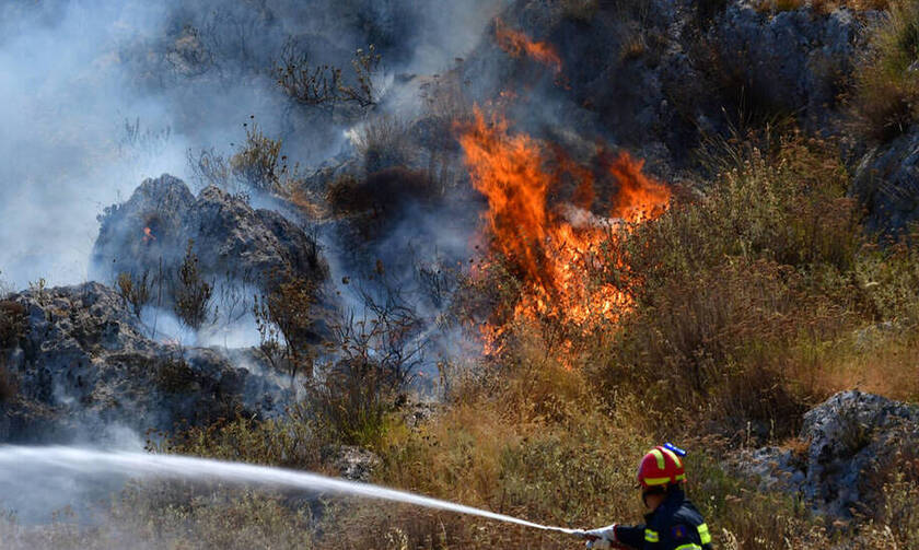 Φωτιά ΤΩΡΑ: Μεγάλη πυρκαγιά στο Σοφικό Κορίνθου