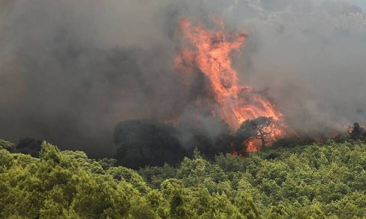 Φωτιά ΤΩΡΑ στο Βαρνάβα – Κοντά σε σπίτια οι φλόγες