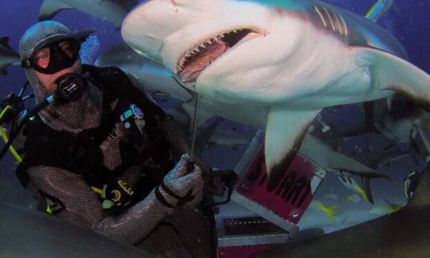 Είναι τρελός; Ταΐζει με το χέρι τεράστιο καρχαρία! Δείτε το βίντεο