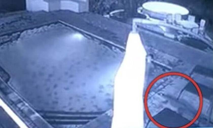 Κροκόδειλος επιτίθεται σε γυναίκα μέσα σε πισίνα! Συγκλονιστικό βίντεο