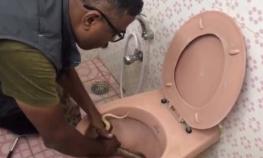 Άντρας παλεύει με δηλητηριώδη κόμπρα που βρήκε στην τουαλέτα του! (vid)