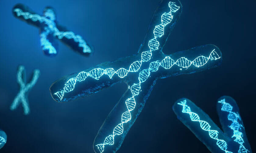Νέα τεχνική τροποποίηση γονιδιώματος ανακάλυψαν οι επιστήμονες (έρευνα)