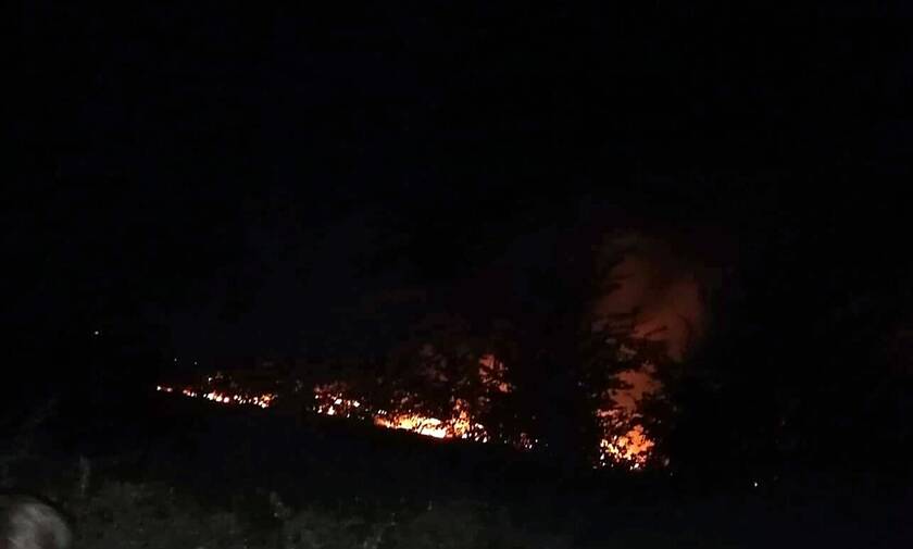 Φωτιά ΤΩΡΑ: Μεγάλη πυρκαγιά στα Τρίκαλα - Απειλείται κτηνοτροφική μονάδα