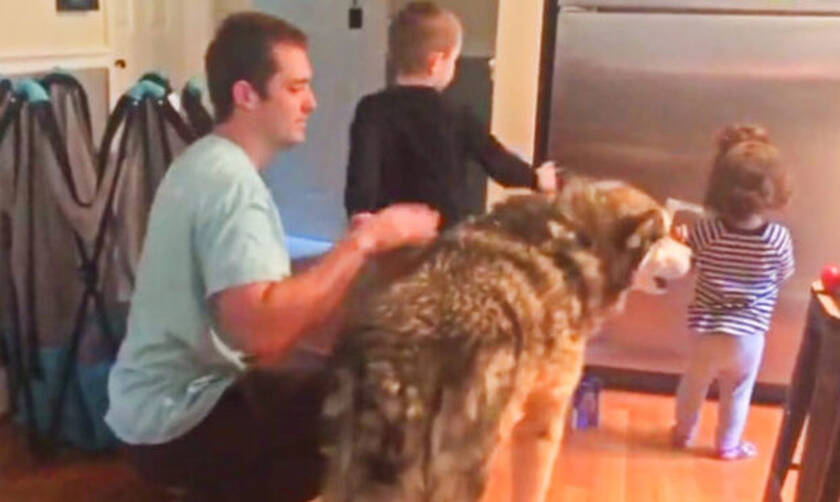 Πατέρας αγκαλιάζει τα παιδιά του και ο σκύλος… μουρλαίνεται!