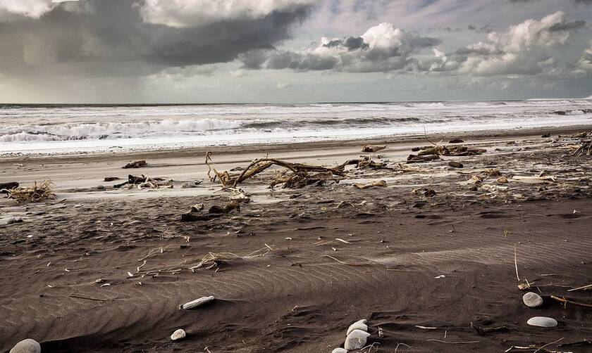 Φρίκη σε παραλία: Ούρλιαζαν με αυτό που ξέβρασε η θάλασσα (pics)