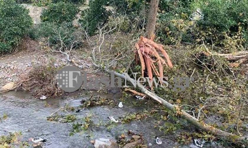Τραγωδία στα Χανιά: Έπεσε δέντρο και τον σκότωσε
