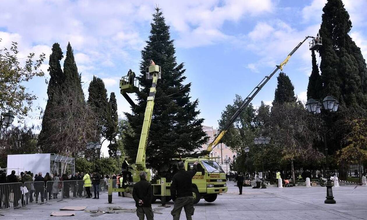Ήρθαν τα Χριστούγεννα στην Αθήνα: Οι πρώτες εικόνες από το δέντρο στο Σύνταγμα