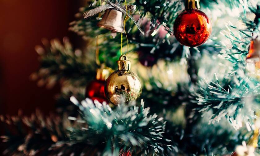 Τρόμος: Τι κρυβόταν στο χριστουγεννιάτικο δέντρο (photos)