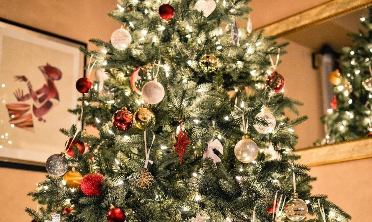 Δεν πίστευαν στα μάτια τους: Δείτε τι πετάχτηκε μέσα από χριστουγεννιάτικο δέντρο (pics)