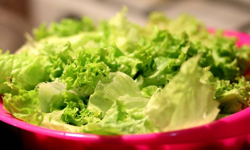 Απίστευτη υπόθεση: Βρήκαν 400 κιλά κάνναβης μέσα σε… σαλάτες!