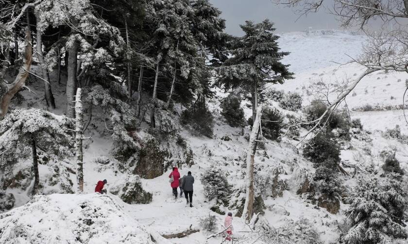 Κακοκαιρία - Ζηνοβία: Στον πάγο η χώρα μέχρι την Πρωτοχρονιά - Πού και πότε θα χιονίσει