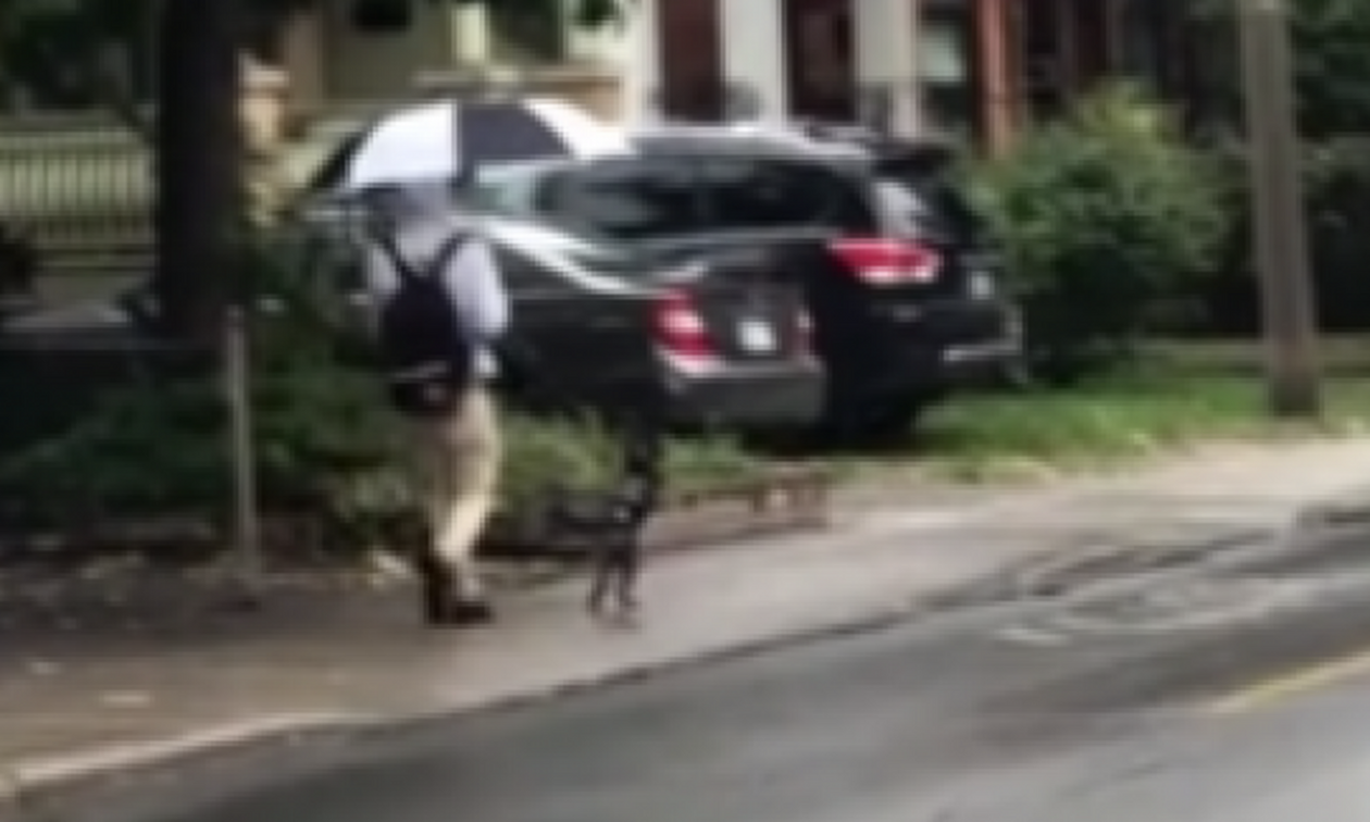 Βγήκε βόλτα με το σκύλο του και χάζεψε ΟΛΗ η γειτονιά! (vid)
