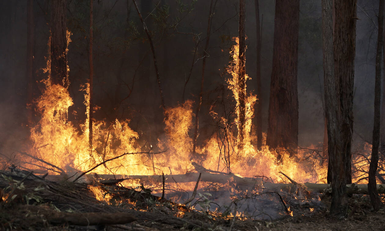 Αυστραλία: Χωρίς τέλος ο εφιάλτης - Αυξάνεται ο αριθμός των νεκρών από τις πυρκαγιές (pics)