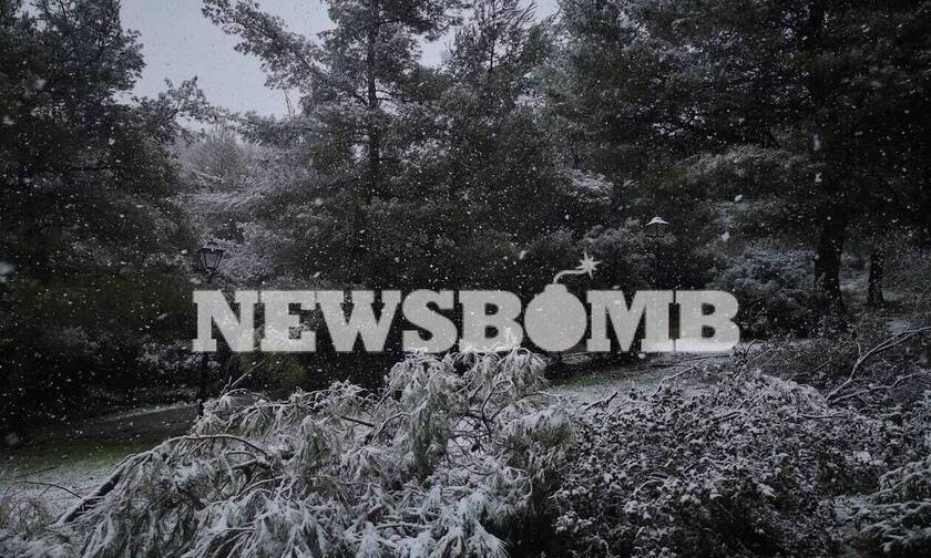Καιρός - Τάσος Αρνιακός στο Newsbomb.gr: Χιόνια και στην Αθήνα σε λίγες ώρες
