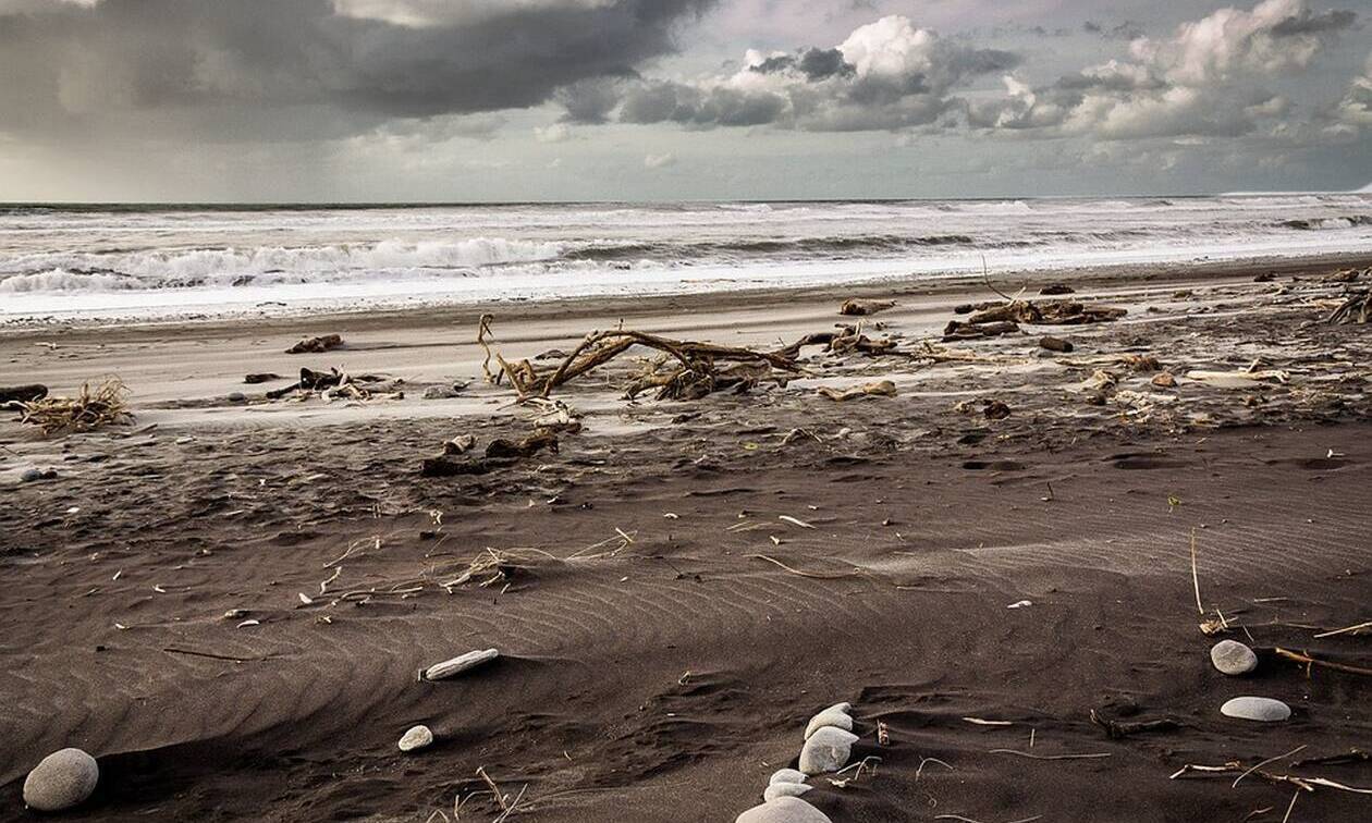 Φρίκη σε παραλία: Ούρλιαζαν με αυτό που ξέβρασε η θάλασσα (pics)