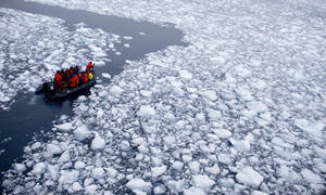 Ανταρκτική SOS: «Μη αναστρέψιμο» το λιώσιμο των πάγων λόγω της κλιματικής αλλαγής