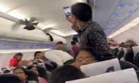 Χαμός σε πτήση: Περιστέρι μπήκε σε αεροπλάνο και προκάλεσε χάος (vid)