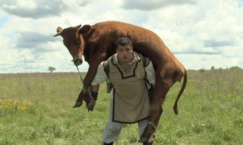 Aγρότης σηκώνει αγελάδα 350 κιλών στους ώμους! (vid)