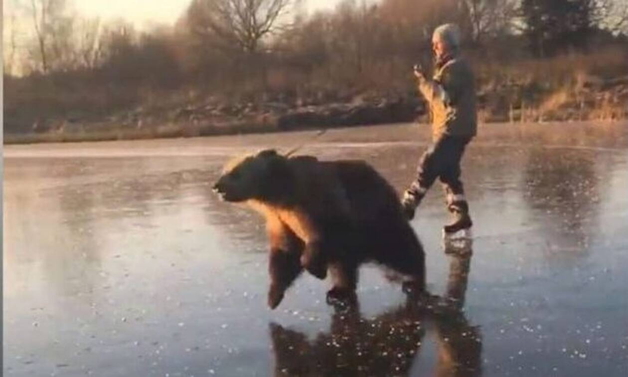 Τρελιάρης Ρώσος κάνει πατινάζ με την αρκούδα του! (vid)