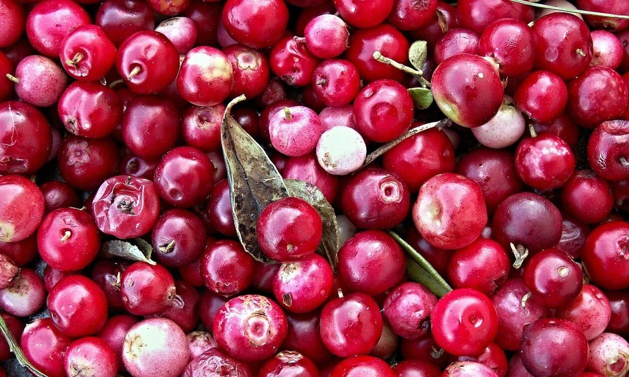 Ουρολοίμωξη: Πρόληψη και αντιμετώπιση με cranberry και προβιοτικά 