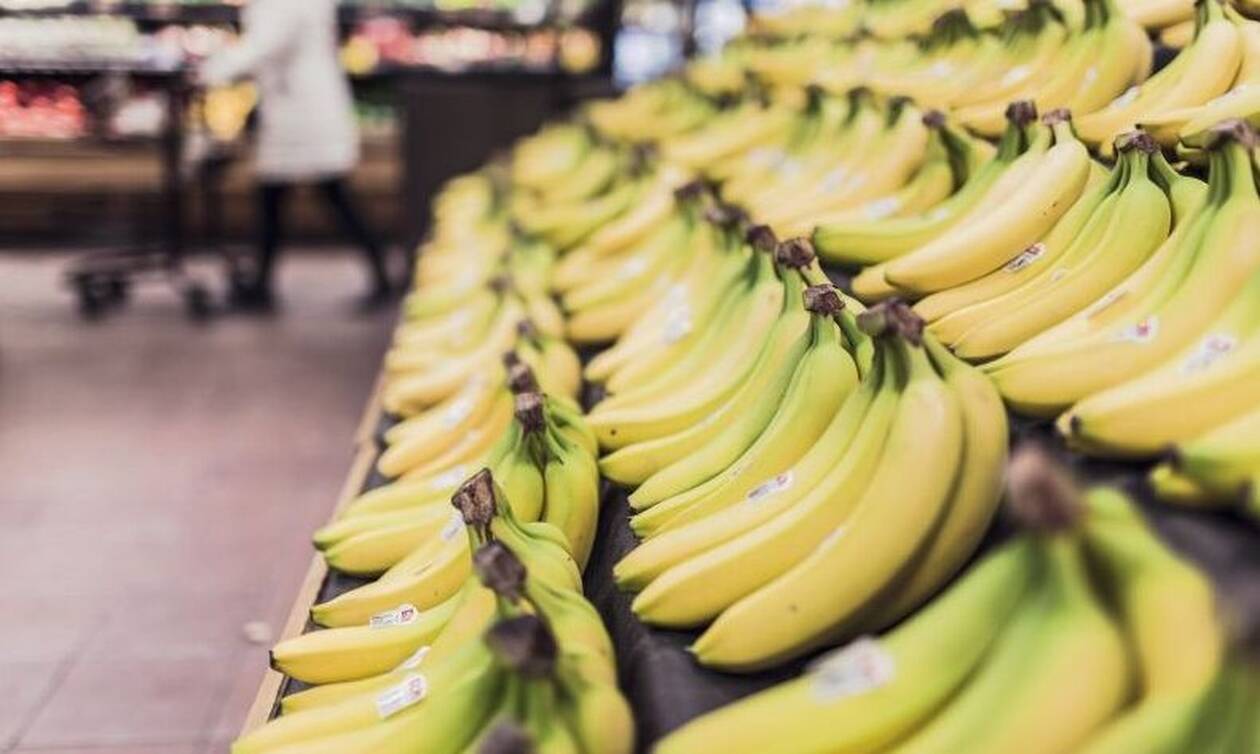 Αγόρασαν μπανάνες και βρήκαν μέσα αυτό - Είναι ζωντανοί από θαύμα!