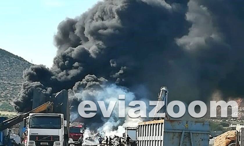 Συναγερμός στην Εύβοια: Μεγάλη φωτιά σε εργοστάσιο στην Αυλίδα (Pic&vid)