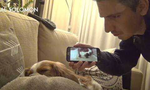 Βίντεο: Σκύλος ακούει για πρώτη φορά το ροχαλητό του και η αντίδρασή του γίνεται viral