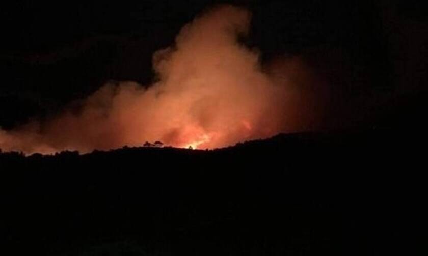 Φωτιά ΤΩΡΑ: Μεγάλη πυρκαγιά στη Ζάκυνθο - Επί ποδός οι κάτοικοι